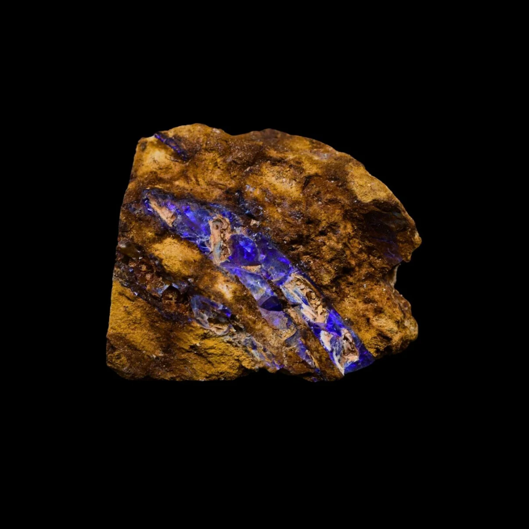 Boulder Opal in rohem Zustand mit lilanen Adern in brauner Matrix auf schwarzem Hintergrund