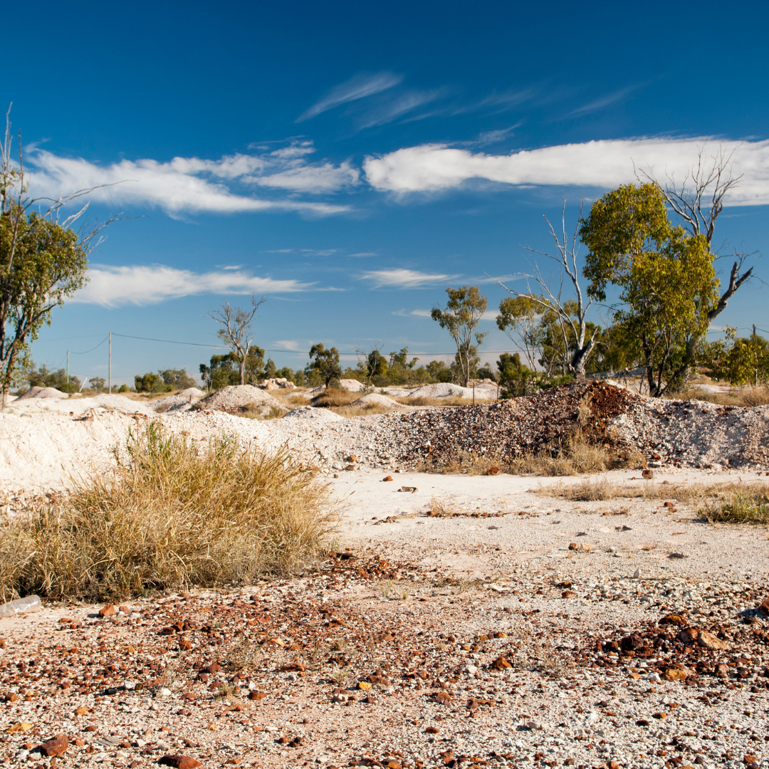 Landschaft mit trockener, steiniger Erde und verstreuten Büschen, im Hintergrund Opal-Abraumhügel und vereinzelte Bäume unter klarem, blauem Himmel