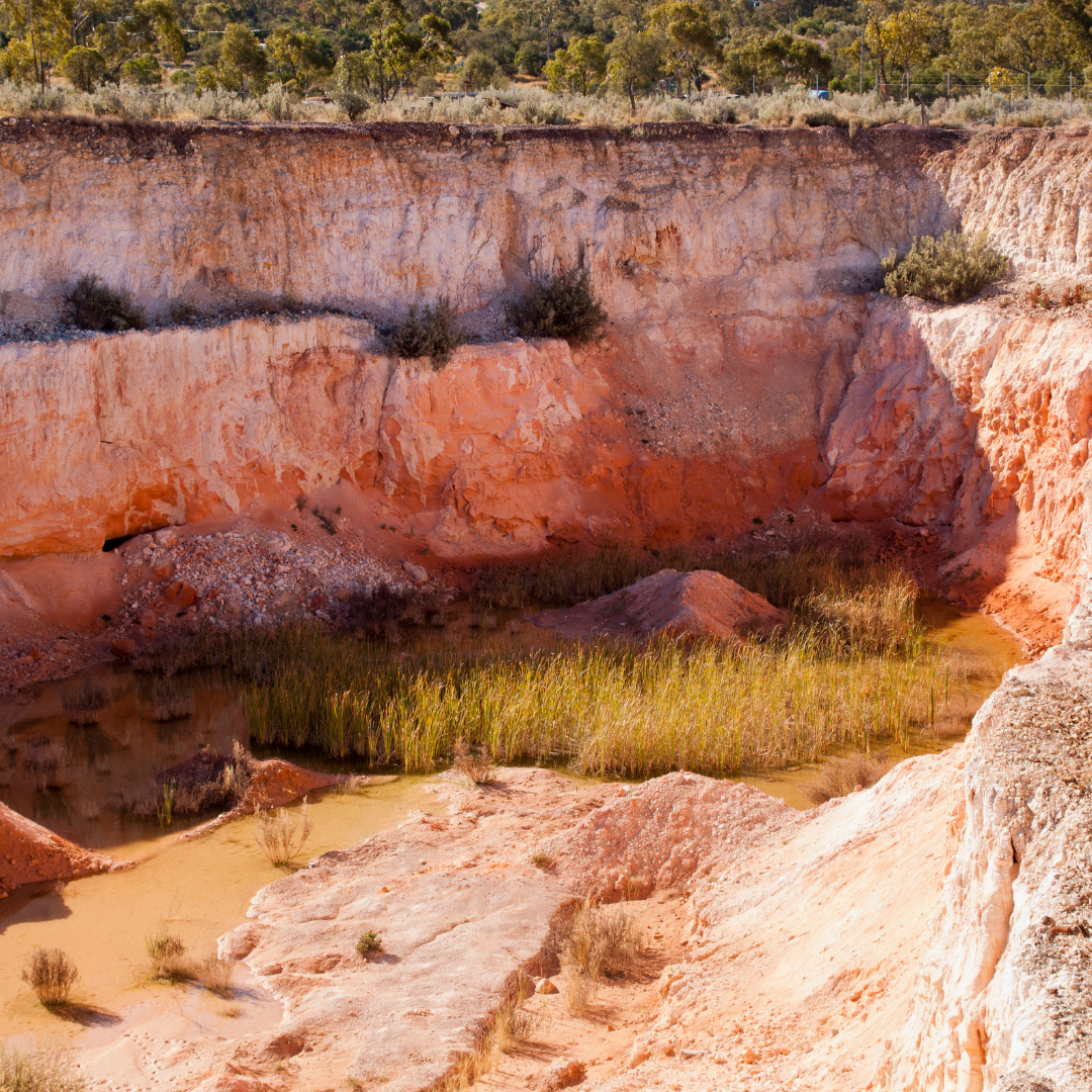 Tagebau mit steilen Wänden aus orangefarbenem Gestein, am Boden Ansammlungen von Wasser und wachsenden Schilfpflanzen, umgeben von trockener Vegetation im Hintergrund.